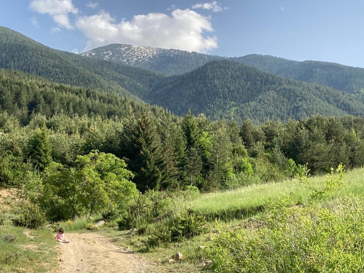 Mirabell - Amazing View & Fireplace Apartment Bansko